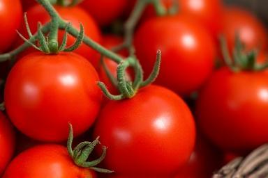 Stack of San Marzano tomatoes